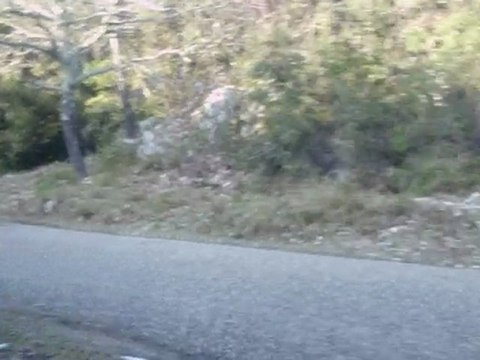 Rallye des Garrigues 2010 Sergeï