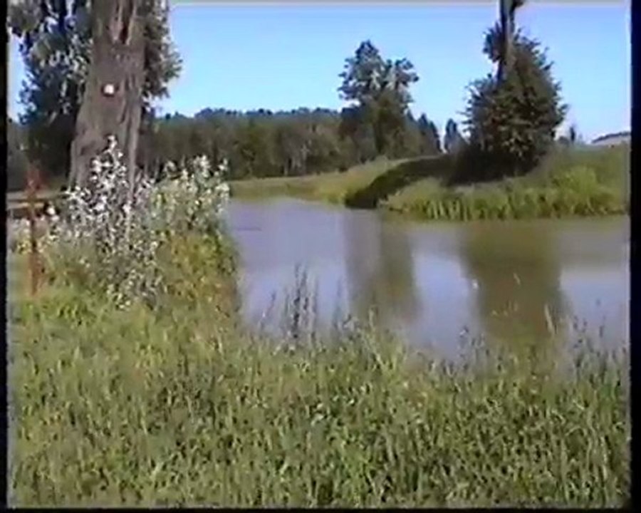 Mstyczów latem.