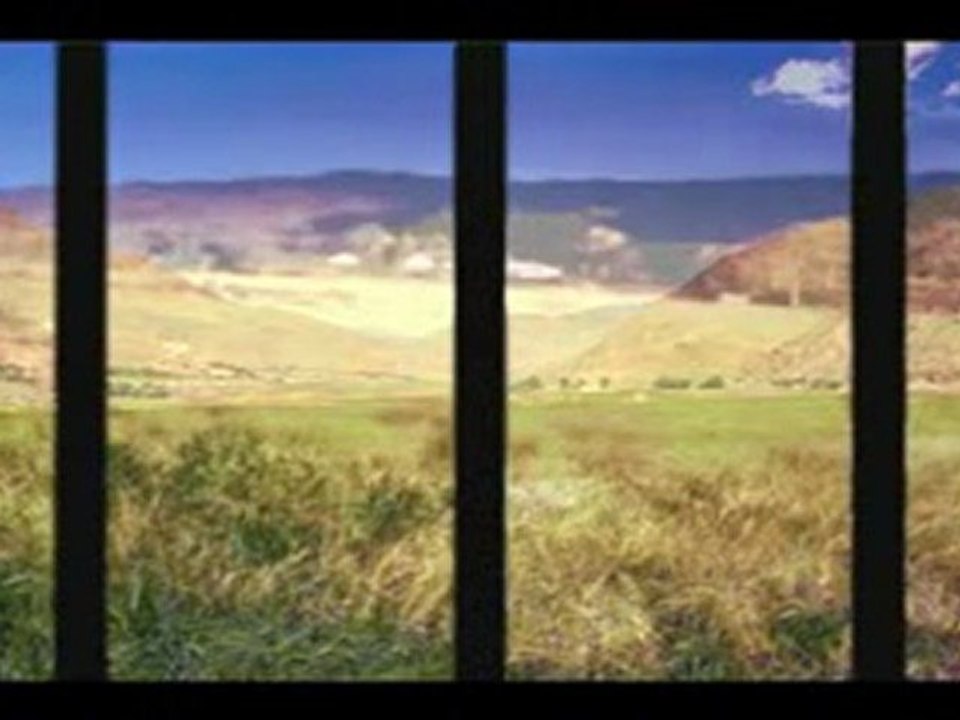 Harmonica - House of the Rising Sun