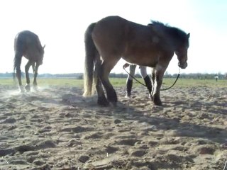 Tendresse le 17 Mars 2010 ; Apprentissage du "coucher"