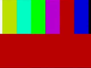 Bug au démarrage du journal de 13h T F 1 HD - 17/03/2010