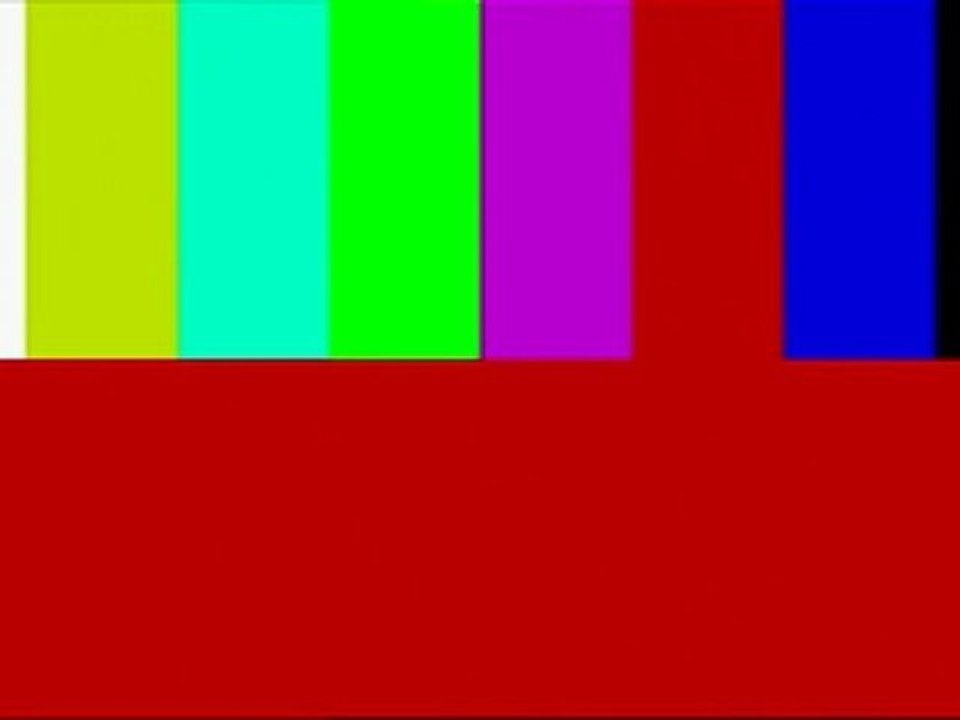 Bug au démarrage du journal de 13h T F 1 HD - 17/03/2010