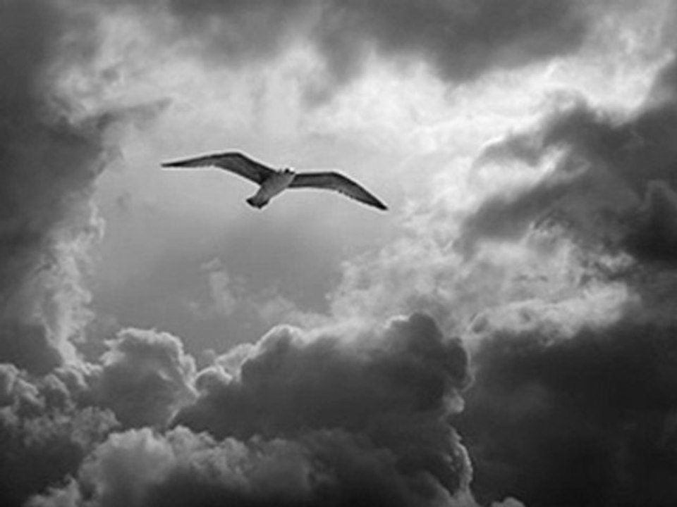 BİR İHTİMAL DAHA VAR O DA ÖLMEK Mİ DERSİN...