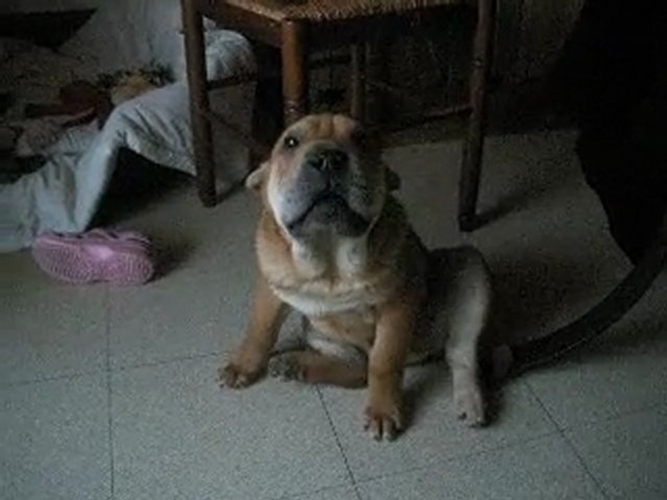 elliot