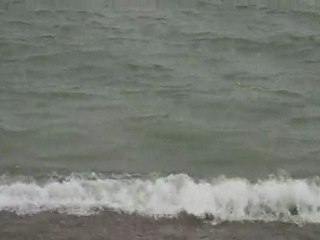 Lancer de micro-bateau par temps houleux avec 65 kmh de bise