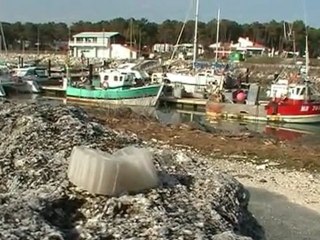 R3F - 17570 La Palmyre - mars 2010