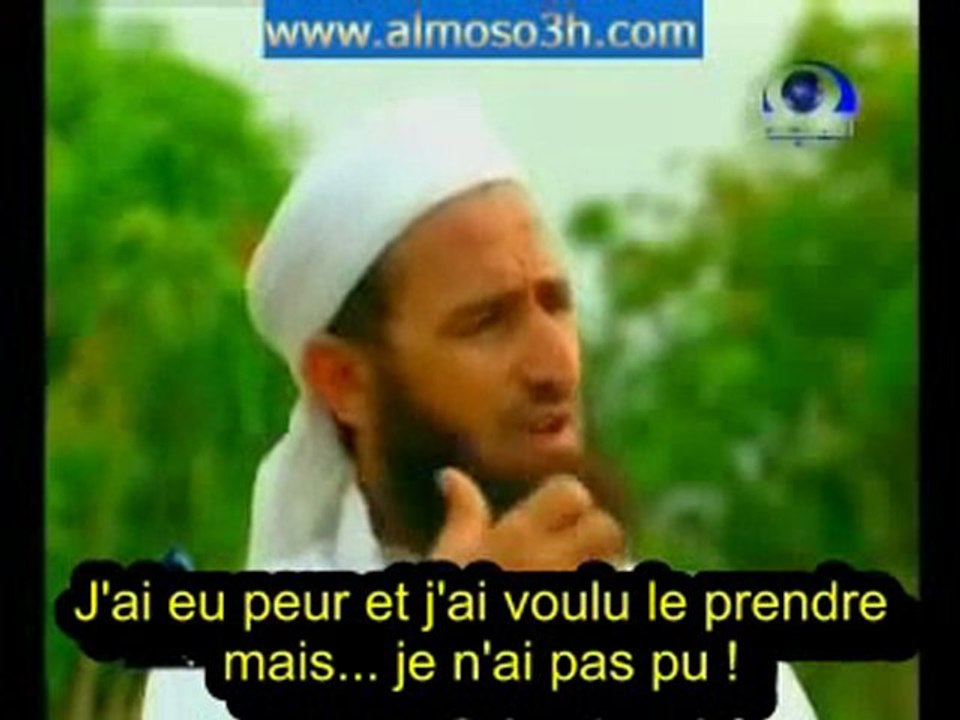 Le soricer repenti [12/12]