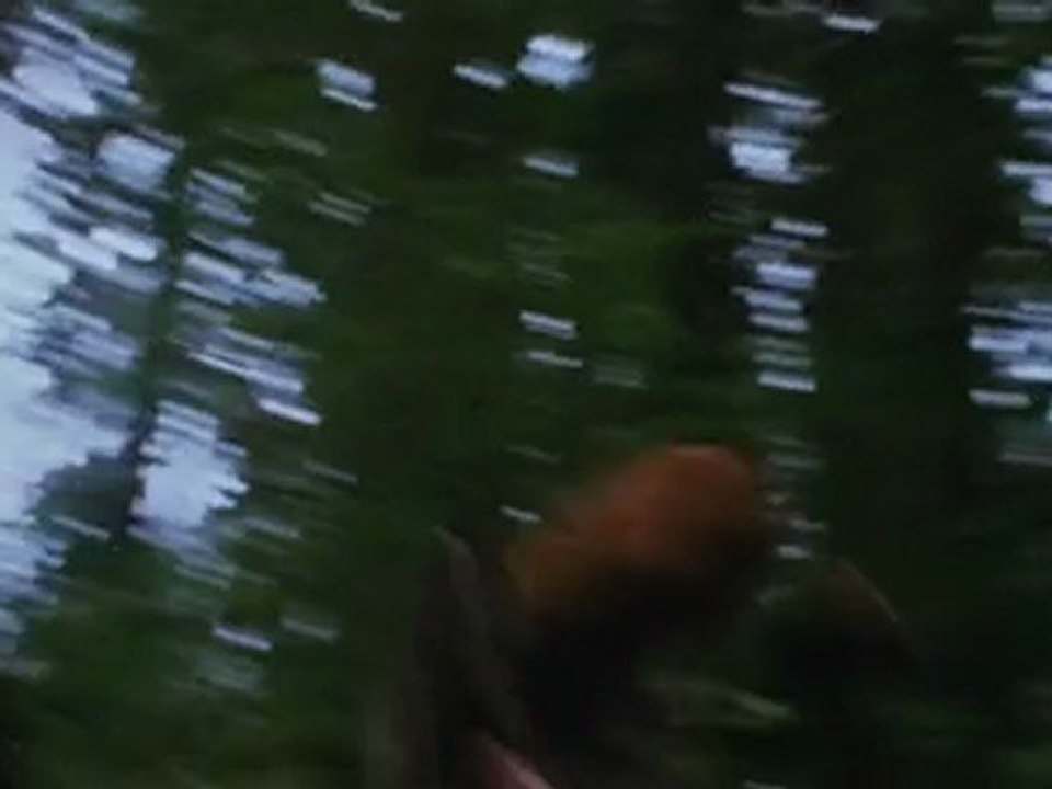 THE TWILIGHT SAGA  ECLIPSE - Trailer