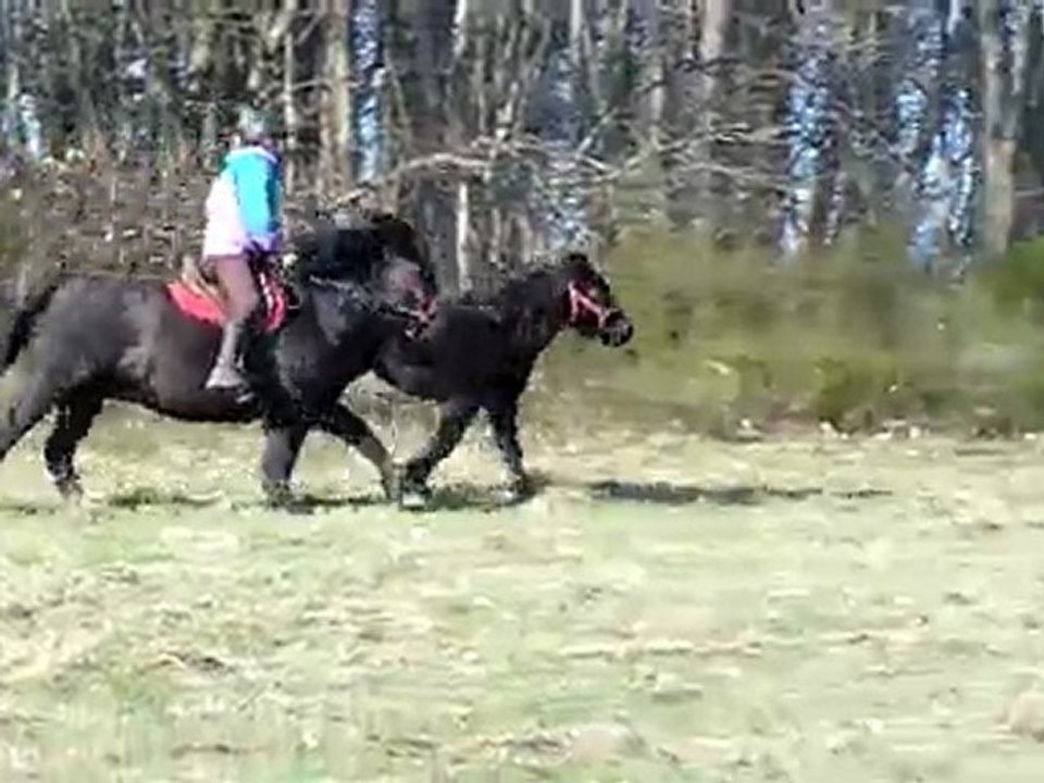 Double galop !