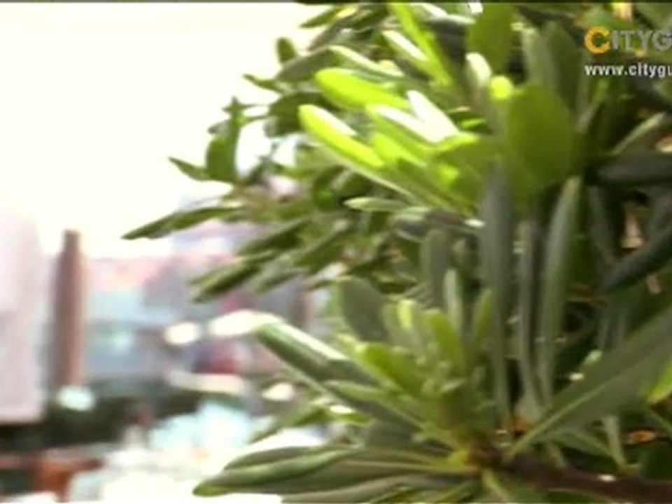 Harrys Dolci, Venedig