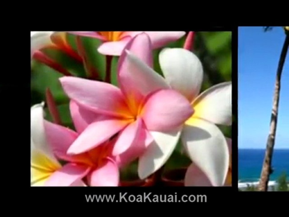 Kauai Island Property