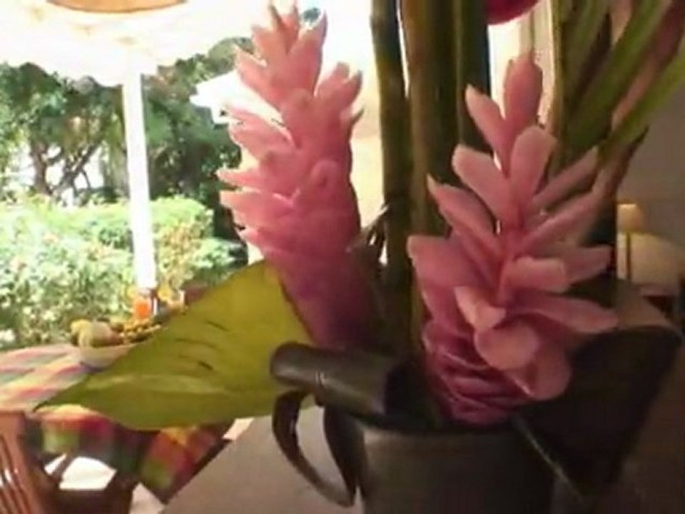 Location Bungalows Guadeloupe Saint François