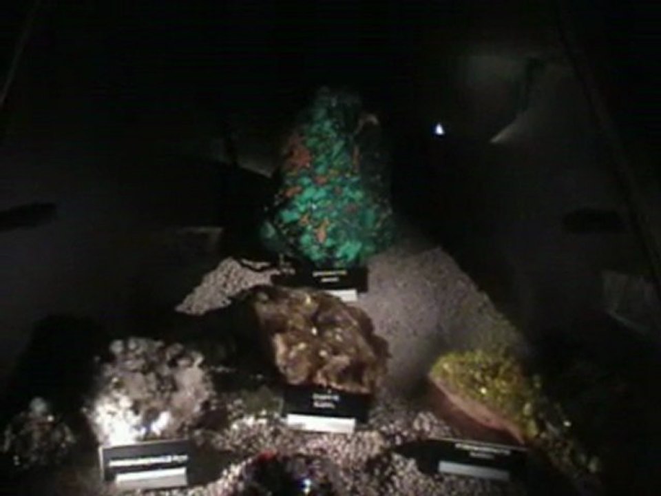 tresor-fee