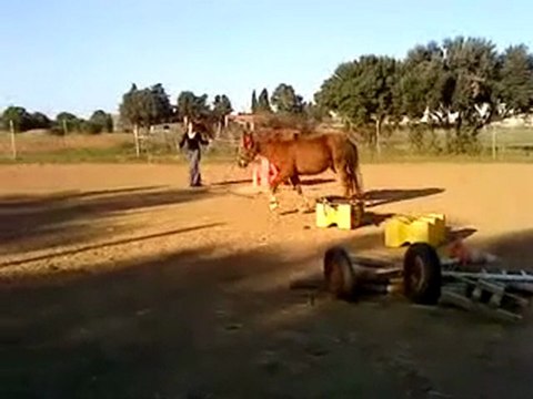 Séance de longe ...