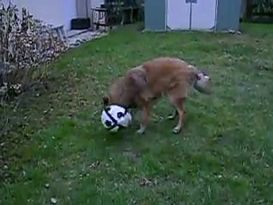 MON BALLON (suite)