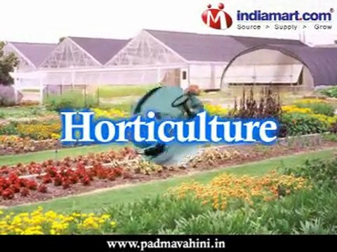 Manufacturer And Supplier Of Distribution Transformers