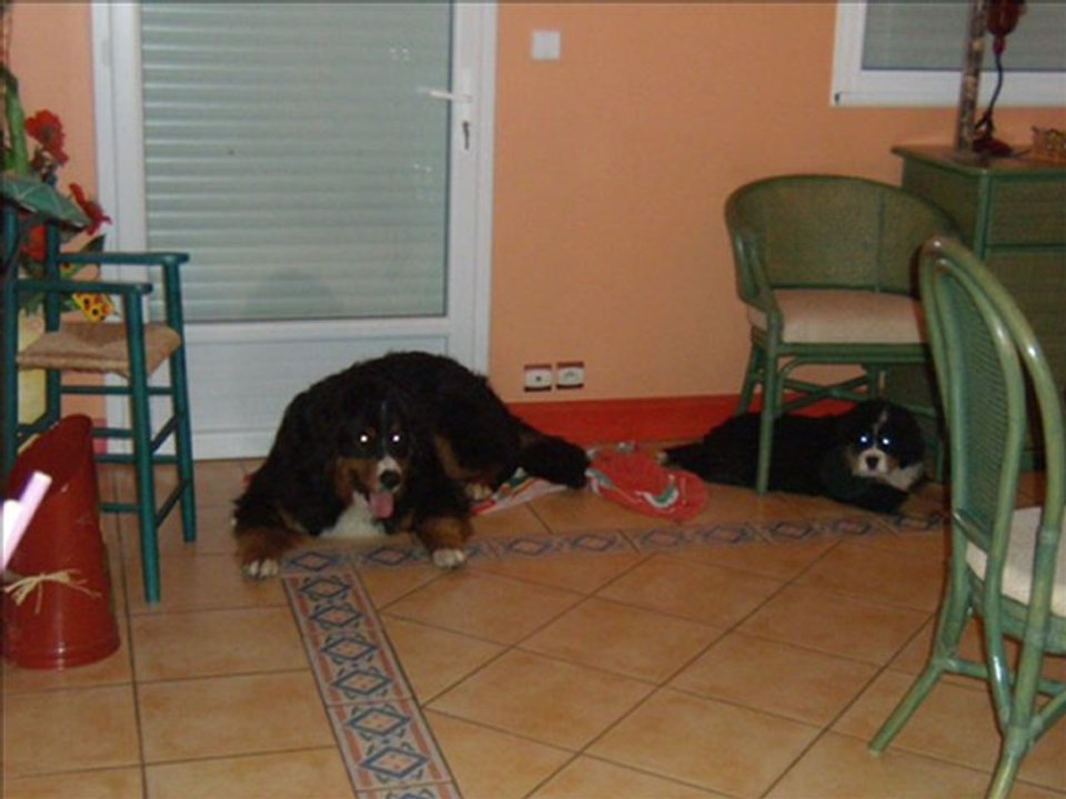 découvertes des petits avec cyrius