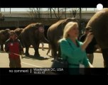 Circus elephants march through Capitol Hill
