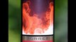 Wine Label Design | Wine Labels | Custom Wine Labels