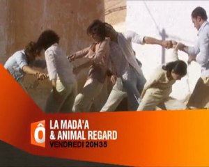 ba la mada'a et animal regard-19-03-vend