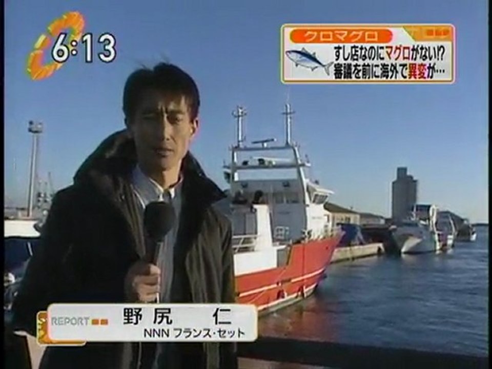maguro catch