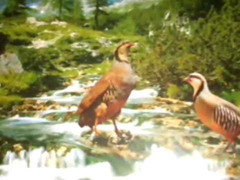 Nedim varol , Tufanbeyli den bazı simaler, Adana,2009