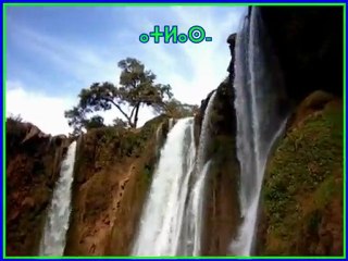 HAMMOU OLYAZI AMAZIGH ⵜⴰⵎⴰⵣⵉⵖⵜ MARC