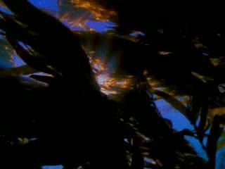 Blue screen of death