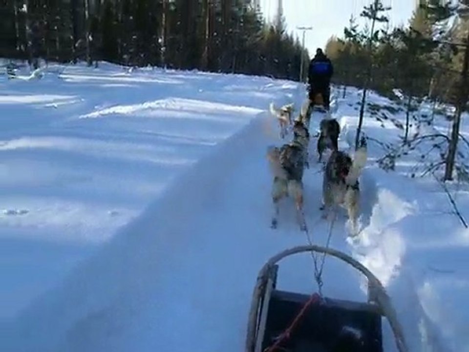 LAPONIE CERCLE ARTICQUE