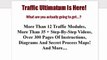 Traffic Ultimatum : Buzz Marketing : Module 7