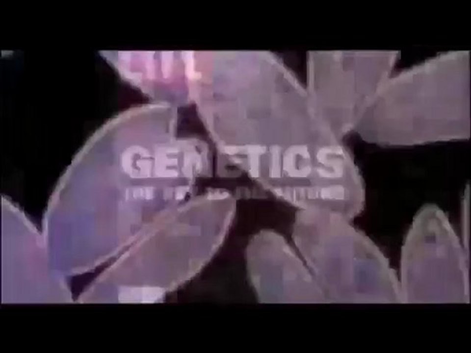 World_Deception_2x18