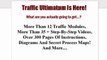 Traffic Ultimatum : Pay Per Click Adwords PPC : Module 10