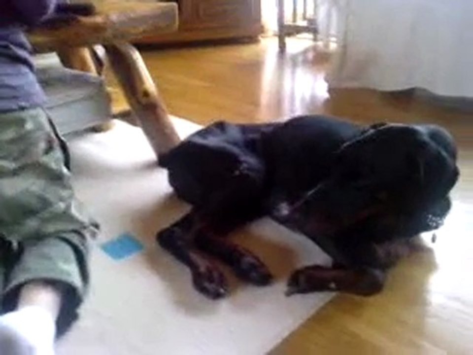 la sieste 18.03.10