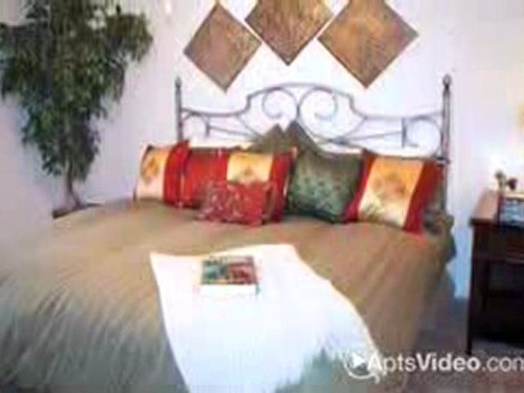 Vista Shores Apartments in Seabrook, TX - ForRent.com