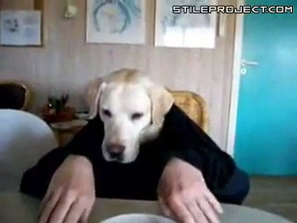 Dogman passe à table