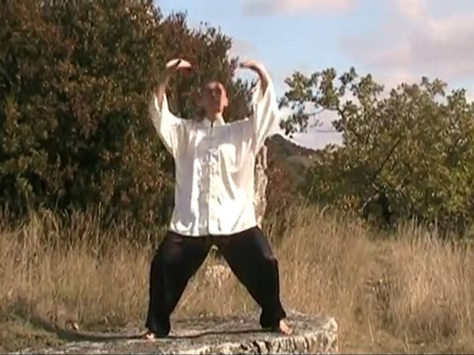 école du Corps Fluide - La main du bagua