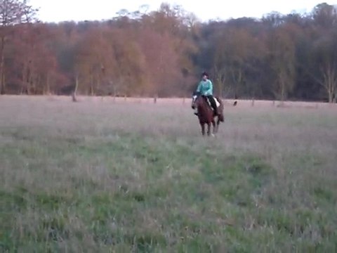 Bébé et moi , au galop dans le champ :P
