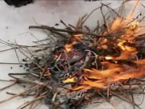 Solaris, Ascension (Tarkovski) - Chorale Prelude J-S Bach