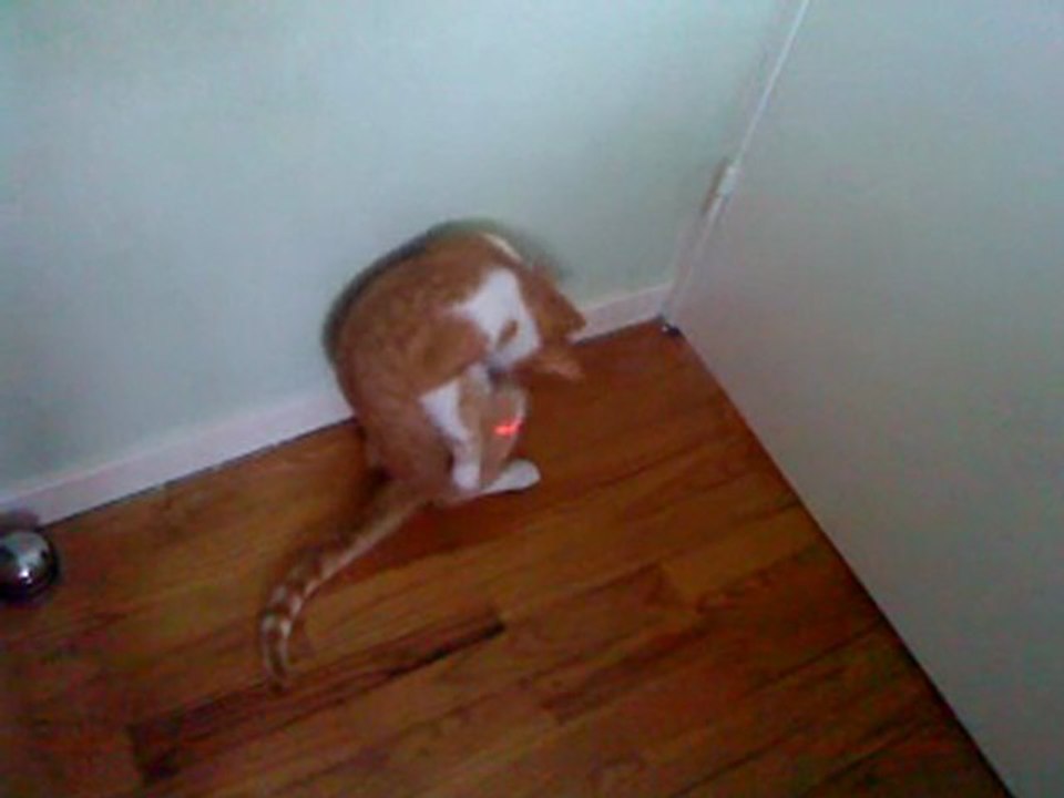 chat