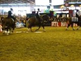 chevaux bretons au salon de l'agricuture 2010