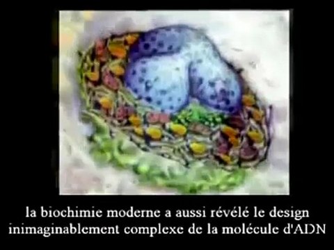 The Signs - Episode 38 (La Fin du Darwinisme)