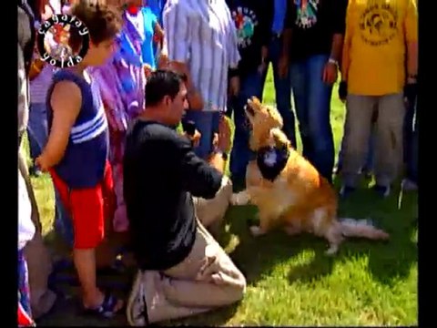 Cagatay Yolda Yedikule Hayvan Barinagi 2. Bolum