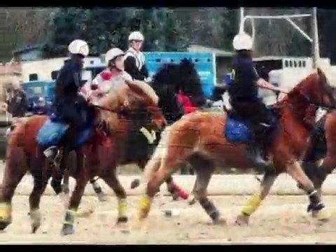 Poenys & chevaux du domaine le meilleur des Club :))