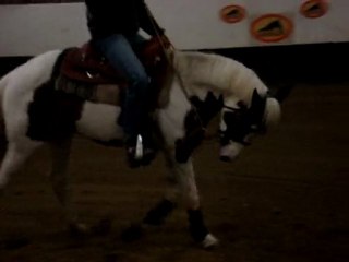 hopy début de séance