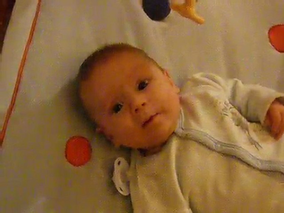 mon petit toto 12