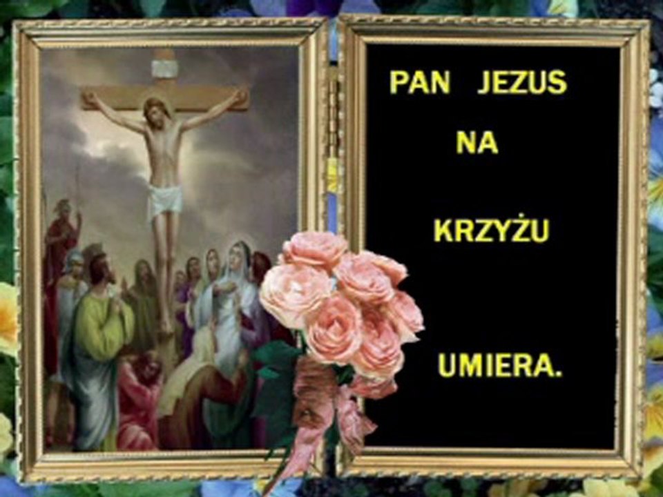 Co zawinił....