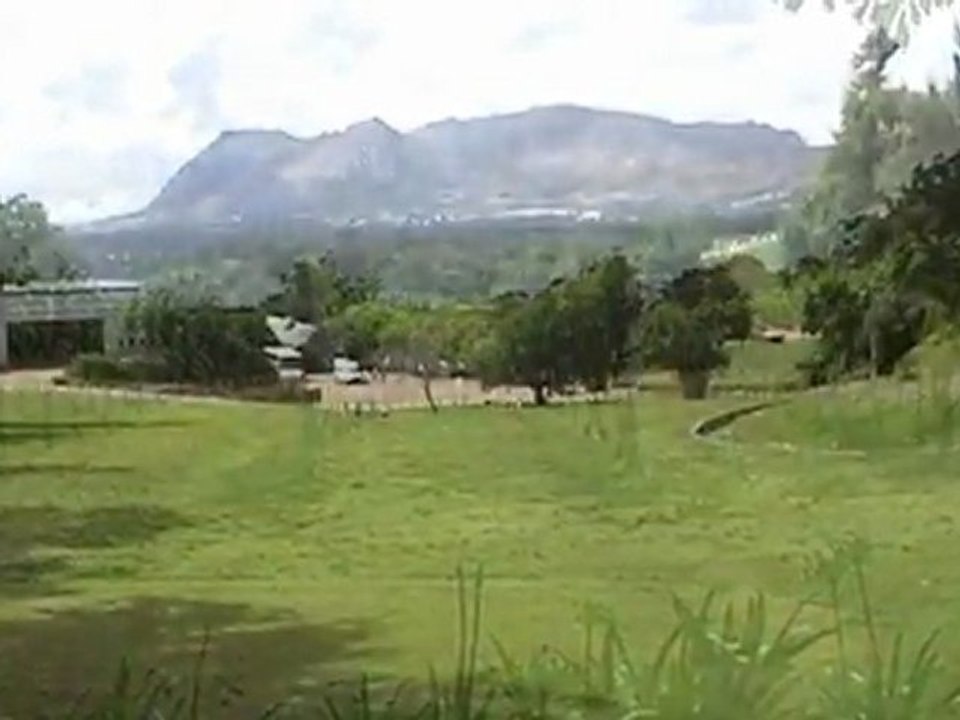 Dag 16: Stellenbosch - Kaapstad 21/11/05