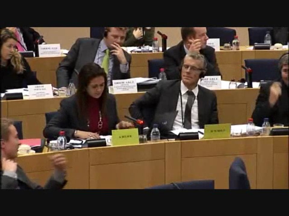 Sandrine Bélier et la nomination des eurodéputés français