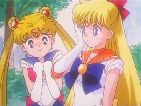 sailor moon and sailor venus