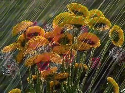 gonlum dağlarda OZLEM OZDIL